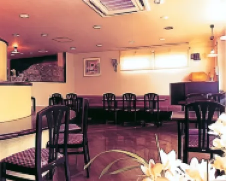 Business Hotel Dainiyamanaka