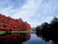 Meijiya Ryokan Hotels in Miyota