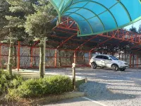 Jecheon Pentel House Hotels near Baeglyeonsa
