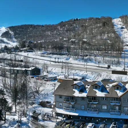 Ski Resort Backyard. Walk to Lifts,Brewery&Coffee