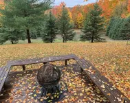 Boyne Mountain/Deer  Lake-ski ,golf, fall colors and SkyBridge!