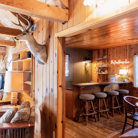The Bunkhouse 1960's Camp Vibe + Timeless Wet Bar