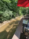 Molly Branch Cottage- Beautiful Private Setting, 5 Star ABNB, Newly Listed VRBO - 4-Star