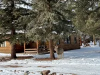 Spacious Family Friendly Cozy Cabin