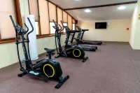 Bagizagan Hotel Samarkand - Gym