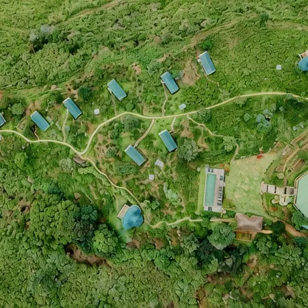 Madulkelle Tea and Eco Lodge