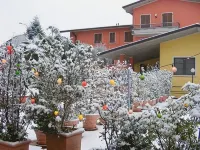 Hotel Il Castello