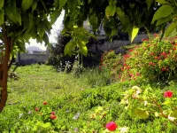 Diana Studios Hotels in Kefallinia