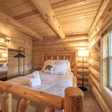 Gemini cabin, deck views of 14kft mtn, 40 min to Breck. Surrounded by wildlife