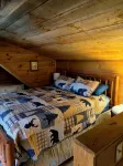 Secluded mountain cabin w. amazing views on 12 acres 3 miles to Blue Ridge Pkwy!