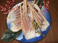海辺の宿　えくぼ - ペット同伴可