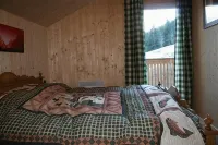 family-friendly cabin Dachstein-West - Homestays