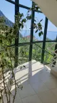 Apartment "Vai Vem" -T2 on the island of Madeira - Portugal Tourism 32408 / AL