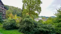 Gaishöll Apartment Gemütliche Schwarzwald Wohnung bei den Wasserfällen - 3 tähden