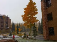 Brian head Studio in 3.5 star Cedar Breaks Lodge - Sleeps 4 Hotéis em Brian Head