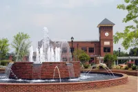 3 Bed. Downtown Designer Den w/ WiFi & AC in Amazing Greer NEAR AIRPORT