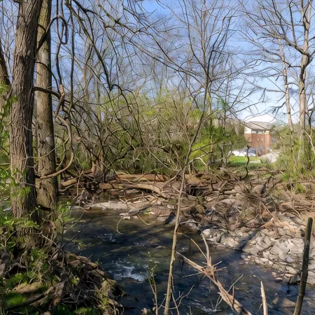 Creekside Getaway - Close to DT & Lake