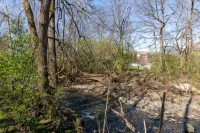 Creekside Getaway - Close to DT & Lake