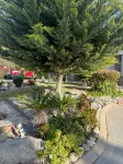 One Bdrm, private bathroom, kitchenette, laundry facilities & gated patio.
