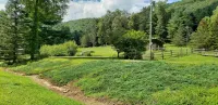 4 bedroom, Secluded 13 Acres on Bennetts Branch of the Sinnemahoning Creek. - Wifi