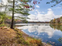 Secluded Lakefront Retreat: Fishing/Kayak/Paddleboard/Pets are Welcome Hotels in Bledsoe County