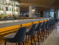 Pillo Hotel & Leisure Club - bar
