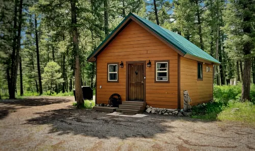 Loft cabin nestled in the woods with two acres to yourself. - Alphydda