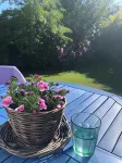 ザ ウッドハウス ホテル