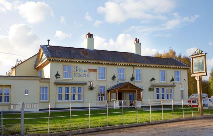 The Golden Pheasant