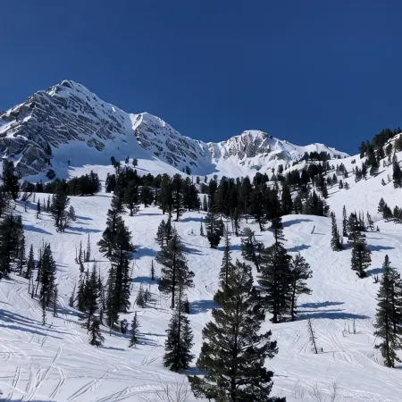 Luxury Moose Hollow, Powder mountain 3 bedroom Condo Eden Utah