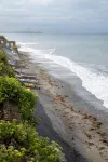 海岸旅館 - 4 星級