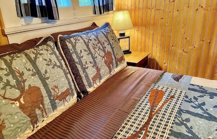 Peaceful Waters Cabin Sleeps 4