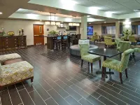 Hampton Inn Oklahoma City/Yukon - Wifi