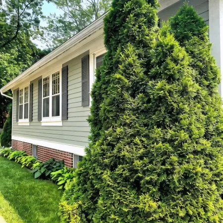 Stylish Family/Pet Friendly Cottage in Coveted Clark Park with Fenced In Yard