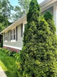 Stylish Family/Pet Friendly Cottage in Coveted Clark Park with Fenced In Yard - مطابخ