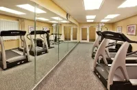 Holiday Inn Express & Suites MCDONOUGH by IHG - Gym