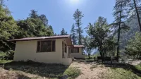 Rivanta Resort - Ramah Hewan Peliharaan