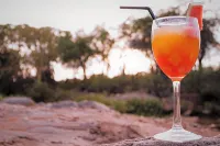 曼尼特斯山林小屋 - 酒吧