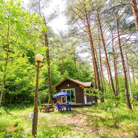 Forest House