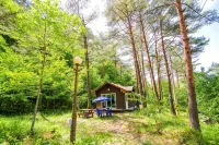 Forest House
