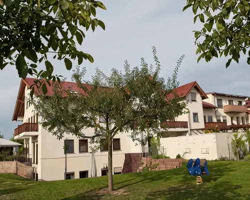 Weingut Sandwiese Winzerhotel ヴォルムスのホテル