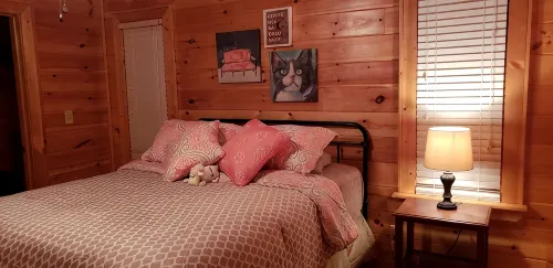 Wanderlust! Cozy 2-bedroom cabin with Mountain Views in lovely Murphy with WiFi - Hytter