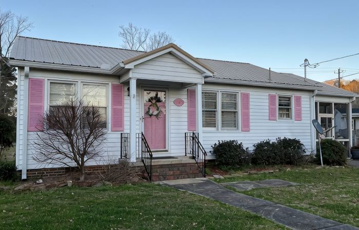 Pink Door Charming 2-bedroom house with WiFi, AC in nice Oneonta, Close to Food