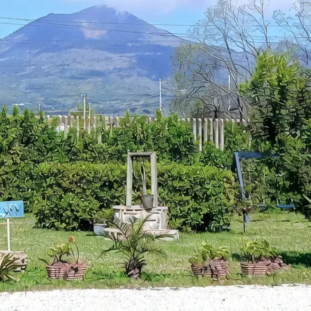 B&B PompeiLog