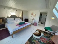 Artist Kate Villa Lilia - Living under the roof - 4つ星