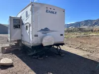 The Eagle Perched at Roosevelt Lake - 3-Star