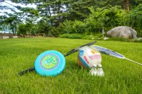 Samcheok Forest Pension - 3 ดาว