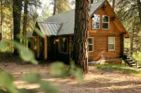 Modern romantic 2-bed log cabin in the forest - Feriehus