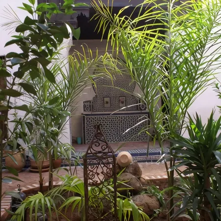 Riad Felloussia
