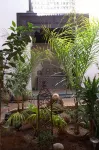 Riad Felloussia - bar